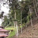 Terreno em Condomínio para Venda em Petrópolis, Itaipava