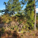 Terreno em Condomínio para Venda, Albuquerque