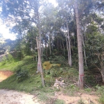 Terreno para Venda em Teresópolis, Parque do Imbui