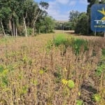 Chácara à venda, 59030 m² por R$ 435.000,00 - Zona Rural - Contenda/PR