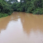 Chácara à venda, 64735 m² por R$ 355.000,00 - Zona Rural - Quitandinha/PR