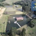 Chácara à venda, 96800 m² por R$ 1.300.000 - Zona Rural - Quitandinha/PR