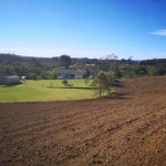 Chácara à venda, 121000 m² por R$ 1.500.000,00 - Zona Rural - Tijucas do Sul/PR