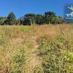 Chácara à venda, 254100 m² por R$ 946.000,00 - Zona Rural - Quitandinha/PR