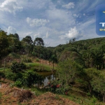 Chácara à venda, 10000 m² por R$ 350.000 - Zona Rural - Mandirituba/PR