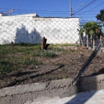 Terreno comercial à venda na Rua das Verbenas, 215, Vila Mimosa, Campinas