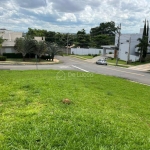 Terreno em condomínio fechado à venda na Avenida Denise Martins de Moraes Barros, 8, Swiss Park, Campinas