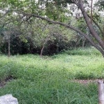 Terreno para Venda - 0m², 0 dormitórios, Lami