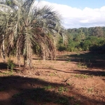 Terreno à venda na Estrada Maria Altina, 425, Aberta dos Morros, Porto Alegre