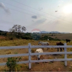 Belo Terreno de 18.349,74 m2 a 1,5 km do centro de Monte Sião  - M. G.