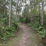 Terreno em condomínio fechado à venda na Rua Palma, 506, Jardim Clube de Campo, Santo André