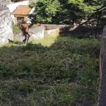 Terreno à venda na Rua Doutor Miranda de Azevedo, 1444, Vila Anglo Brasileira, São Paulo