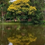 Casa em condomínio fechado com 4 quartos à venda na Xingu, 555, Granja Carneiro Viana, Cotia