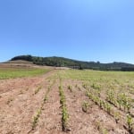 ÁREA COM 02 HECTARES EM GRAMADO, Linha Marcondes A, Gramado - RS