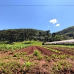 ÁREA DE 30.300M² A VENDA EM GRAMADO, LINHA AVILA!, Estrada Linha Avila, Gramado - RS