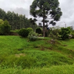 TERRENO COM 1.170 M² EM GRAMADO , Estrada Linha Avila, Gramado - RS