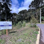 TERRENO DE 558,04M² A VENDA EM GRAMADO, Moura, Gramado - RS