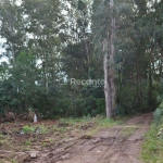 SÍTIO À VENDA, 44 HECTARES EM GRAMADO - RS, Mato Queimado, Gramado - RS