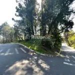 TERRENO À VENDA, 4730 M² - PLANALTO - GRAMADO/RS, Planalto, Gramado - RS