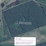 ÁREA À VENDA, 118079 M²  MATO QUEIMADO - GRAMADO/RS, Mato Queimado, Gramado - RS