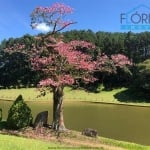 Sítio para Venda em Atibaia, Rio Acima, 7 dormitórios, 4 suítes, 5 banheiros, 20 vagas