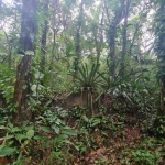 TERRENO A VENDA, 26.000 M²- SÃO PEDRO - ILHABELA/SP