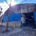 Galpão para alugar, 800 m² por R$ 17.500,00/mês - Jardim Santa Teresinha - São Paulo/SP