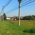 Área, 16000 m² - venda por R$ 25.000.000,00 ou aluguel por R$ 120.000,00/mês - Butantã - São Paulo/SP