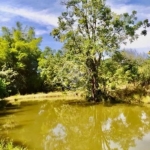 FAZENDA de 36.1 ALQUEIRES  MUNICÍPIO DE SÃO MIGUEL DE PASSA QUATRO codigo: 94549