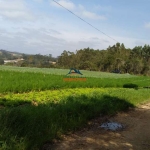 Terreno à venda na RUA BENEDITO MESSIAS DOS SANTOS NETO, 100, da Capelinha, Cotia