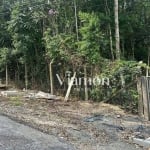 Terreno à venda, 1007 m² por R$ 698.990,00 - Cachoeira - Curitiba/PR