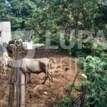 TERRENO RESIDENCIAL COM 1.000M² PARA VENDA, CABUÇU, GUARULHOS