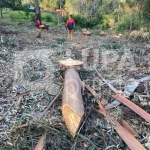 Terreno, em condomínio fechado, de 1575m² à venda, em Mairiporã