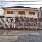 CASA PARA RENDA, VILA GUILHERME, SÃO PAULO