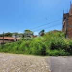 Lote de 300m² sendo 12X25m no bairro Manoel Valinhas