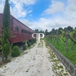 Chácara com 3 dormitórios à venda, 11223 m  por R  1.800.000,00 - São João - Colombo PR