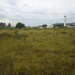 Terreno à venda em Campinas, Chácara Nova Boa Vista, com 42323 m²