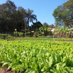 Terreno à venda no Village Campinas, região de Barão Geraldo