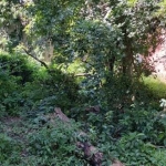 TERRENO A VENDA EM SP AMERICANOLOPOLIS