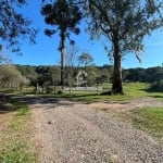 Chácara / sítio à venda na Sao Roque, 1, Fazenda Souza, Caxias do Sul