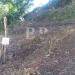 Terreno para Venda em Teresópolis, Granja Guarani