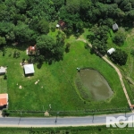 Sítio à venda no bairro Lami | Lindo sítio em frente ao asfalto com 3H, conta com 4 casas, a primeira de madeira com 2 dormitórios sendo 1 suite, sala, cozinha, banheiro e área na lateral da casa. A s