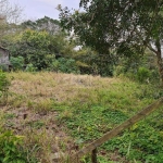 Terreno para Venda - 0m², 0 dormitórios, Tristeza