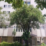 Apartamento com 3 quartos  à venda, 86.70 m2 por R$288000.00  - Centro - Londrina/PR