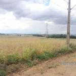 Terreno para alugar, 2500.00 m2 por R$1200.00  - Estancia Dellaville - Londrina/PR