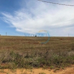 Terreno para alugar, 2700.43 m2 por R$1200.00  - Estancia Dellaville - Londrina/PR