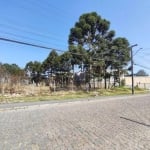 Terreno à venda, 1038 m² por R$ 602.000,00 - Cristal - São José dos Pinhais/PR