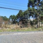 Terreno à venda, 1038 m² por R$ 602.000,00 - Cristal - São José dos Pinhais/PR