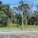 Terreno à venda, 600 m² por R$ 348.000 - Cristal - São José dos Pinhais/PR