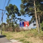 Terreno à venda, 2972 m² por R$ 1.748.000 - Cristal - São José dos Pinhais/PR